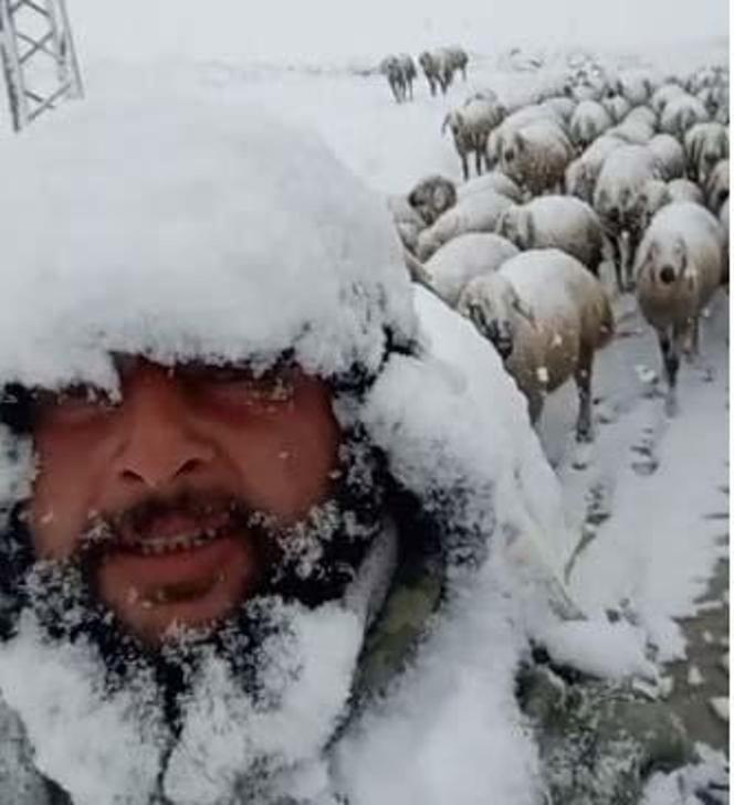 Sivasın 2 ilçesi beyaza büründü