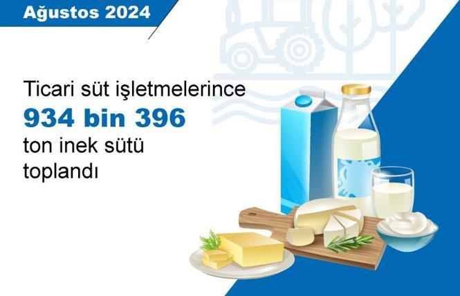 TÜİK: Tavuk eti ve yumurta üretimi arttı