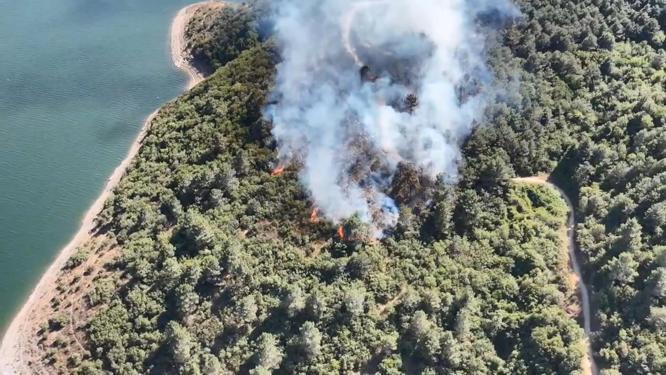Sultangazi Kent Ormanındaki yangın kontrol altına alındı