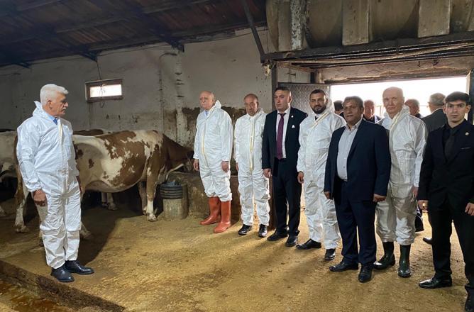 Bayraktar: Şap hastalığından mağdur olan işletmelere destek verilmeli