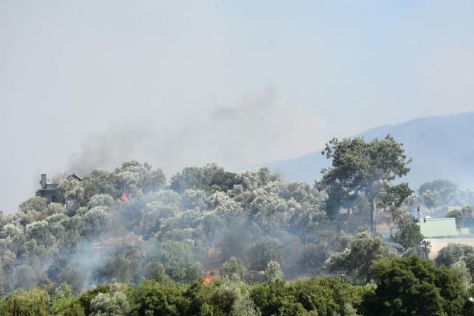 İzmirde 2 ayrı noktada orman yangını