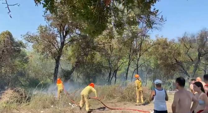 Muğlada orman yangını