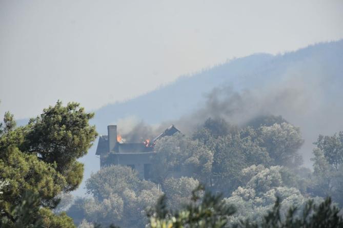 İzmirde 2 ayrı noktada orman yangını