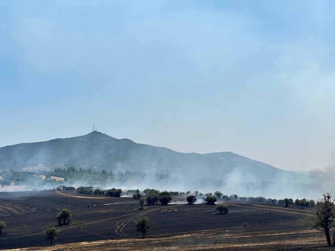 Uşakta çıkan makilik yangını kontrol altında