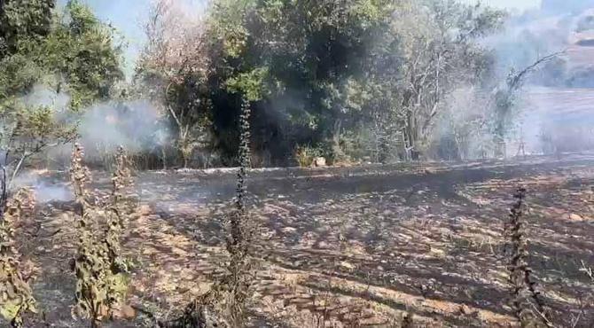 Adanada çıkan orman yangını kontrol altında