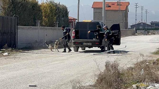 Sokak köpeklerinin saldırısında ölen Rananın cenazesi, Suriyeye gönderildi