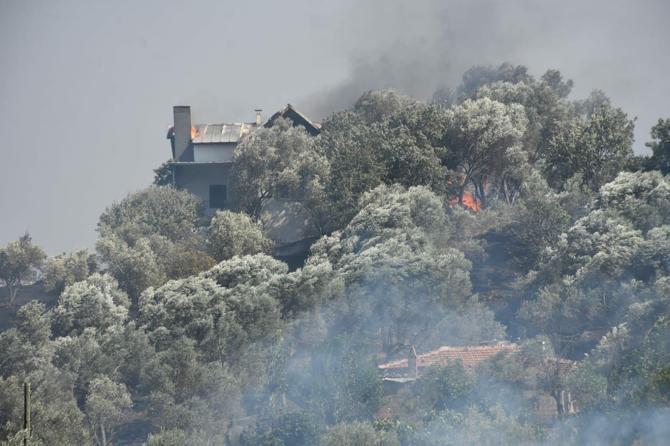 İzmirde 2 ayrı noktada orman yangını