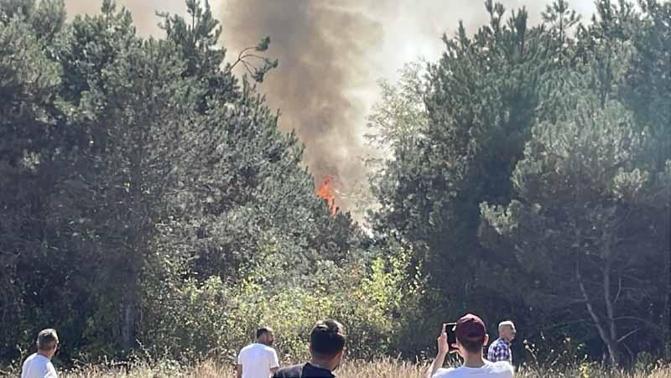 Sakaryada orman yangını