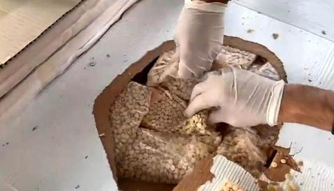 Gümrüklerde rekor; 33 ton 198 kilo uyuşturucu ele geçirildi