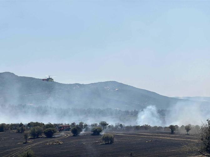Uşakta çıkan makilik yangını kontrol altında
