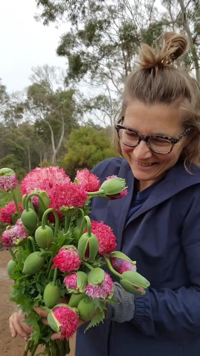 Düğünler için dekoratif çiçek yetiştirdiğini düşünürken yasaklı haşhaş yetiştirdi
