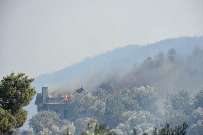 İzmirde 2 ayrı noktada orman yangını
