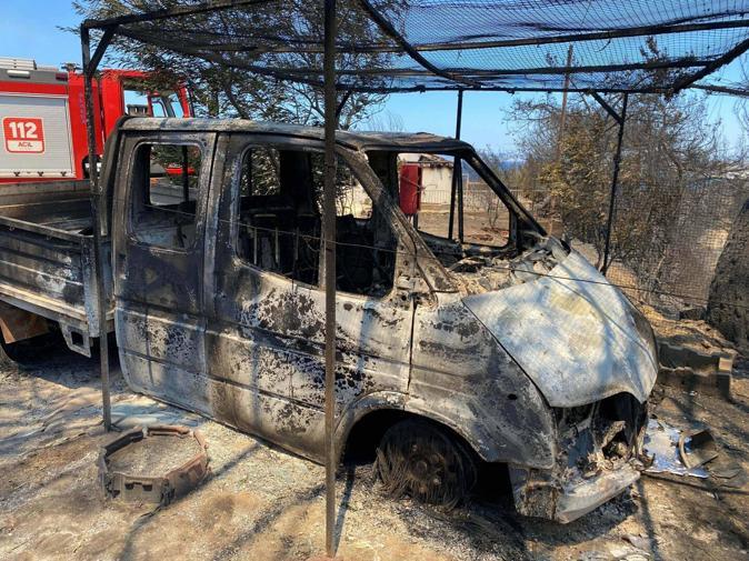 İzmirdeki orman yangını 2nci gününde