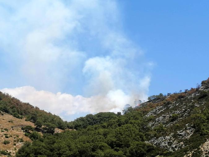 Antalyada orman yangını kontrol altına alındı