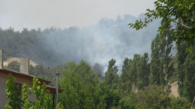 Sakaryada orman yangını 2nci gününde