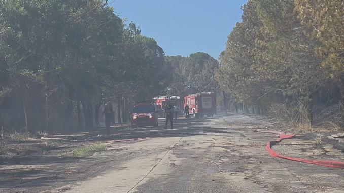 Çatalcada otluk alanda çıkan yangın ormana sıçradı