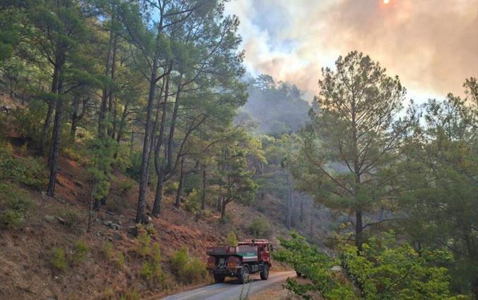Mersinde orman yangını kontrol altında