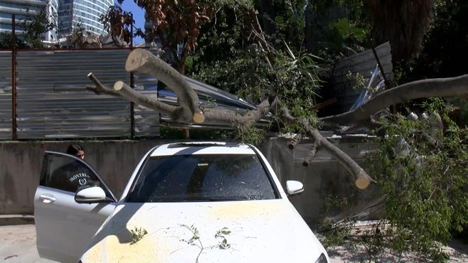 Kadıköy’de inşaat alanındaki ağaç otomobilin üstüne devrildi