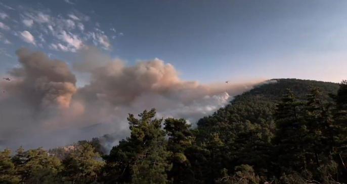 Mersindeki orman yangını 2nci gününde
