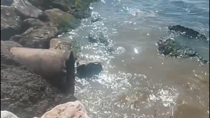 Denize kanalizasyon deşarj eden Yalova Belediyesine 1,3 milyon lira ceza