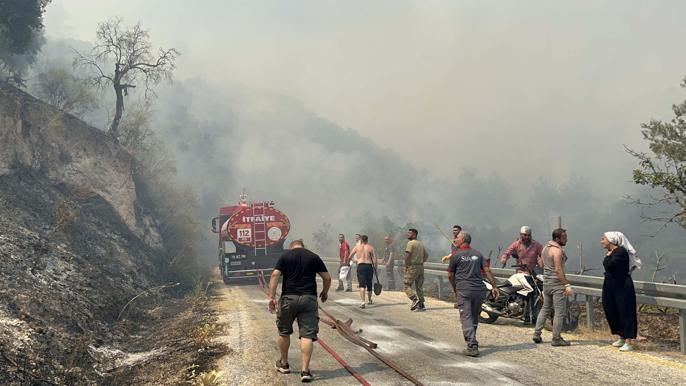 Aydında orman yangını