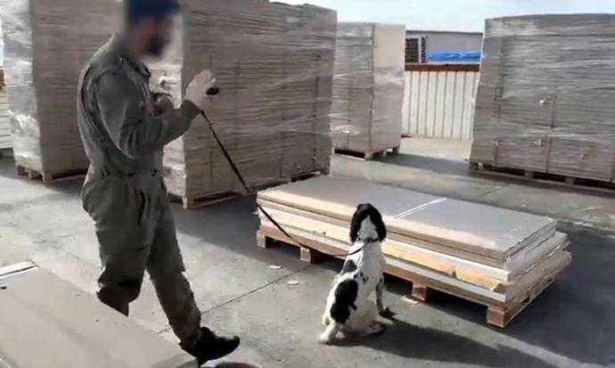 Gümrüklerde rekor; 33 ton 198 kilo uyuşturucu ele geçirildi