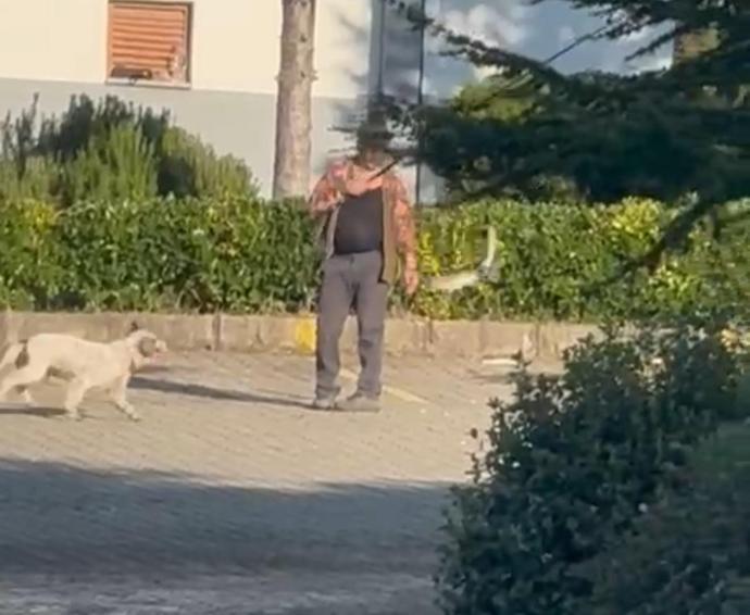 Olta ucuna bağladığı canlı güvercinle av köpeğine eğitim yaptıran kişiye para cezası