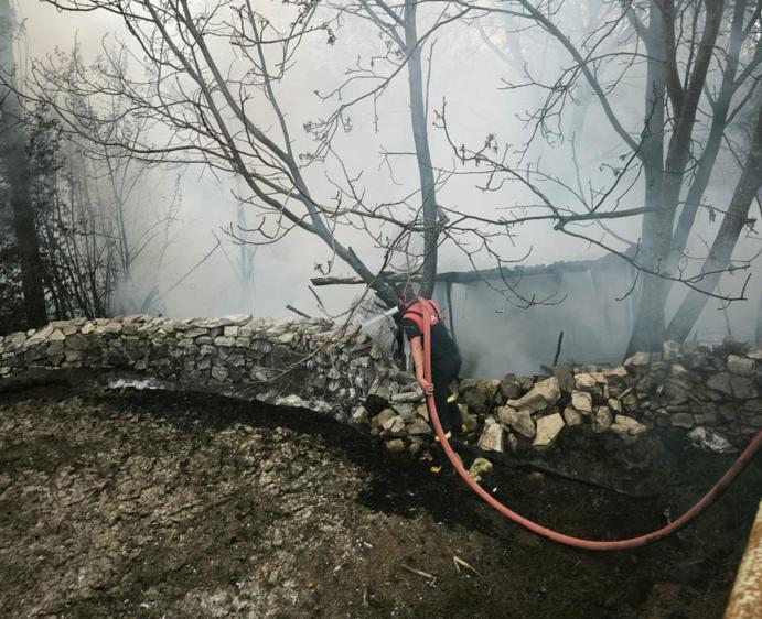 Kütahyada 4 kümes yandı; 100 tavuk öldü