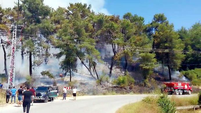 Antalyada orman yangını