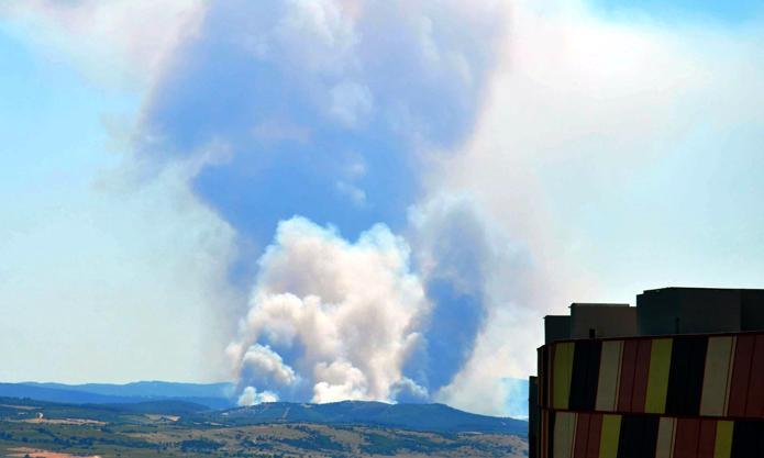 Edirnedeki orman yangını kontrol altında