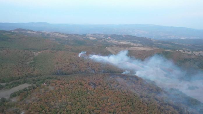 Kocaelide orman ve makilik alanlara giriş yasağı