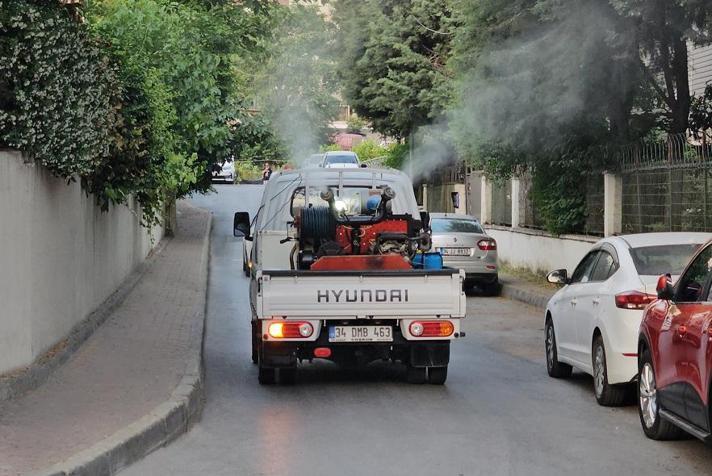 Küçükçekmece’de sivrisineklere karşı ilaçlama çalışmaları hızlandırıldı