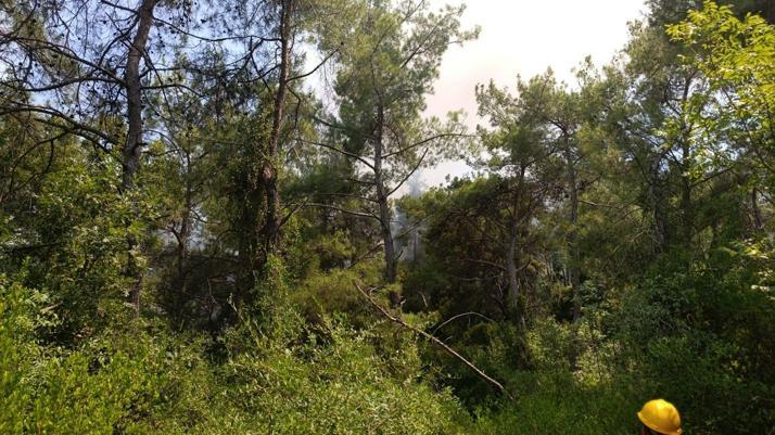 Osmaniyedeki orman yangını kontrol altında