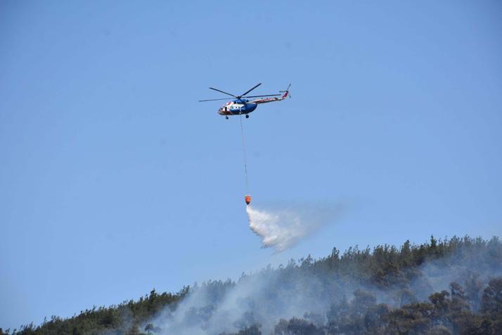 Foçadaki orman yangını soruşturmasında 1 tutuklama