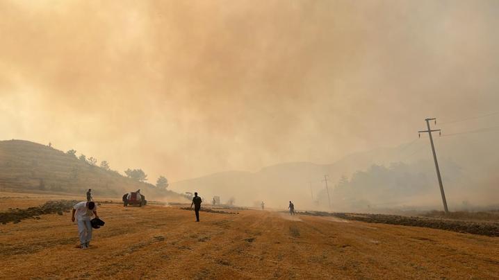 Boluda tarım arazisinde çıkıp ormana sıçrayan yangın kontrol altına alındı