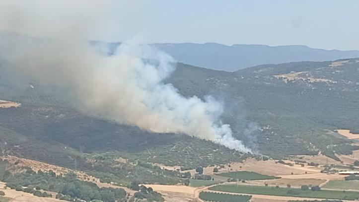 Bursada çıkan orman yangını kontrol altında