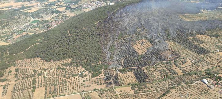 Foçadaki orman yangını soruşturmasında 1 tutuklama
