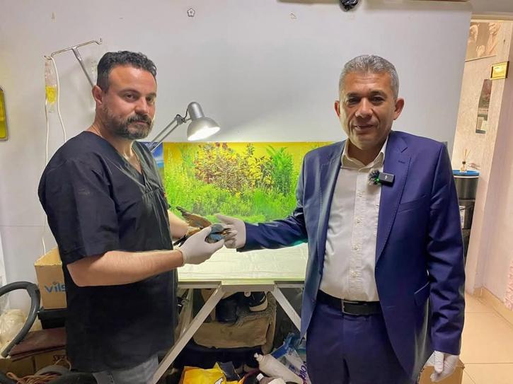 Sırbistanda halkalanan gökkuzgun Denizlide yaralı bulundu