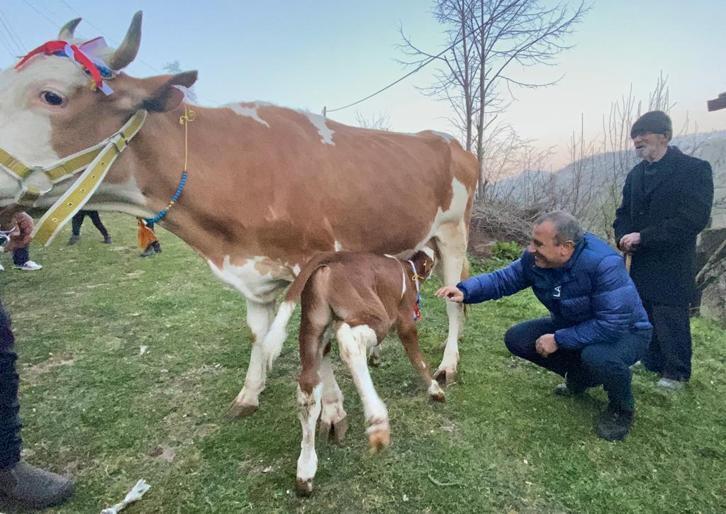 Heyelanda havyanlarını kaybeden çifte inek yardımı