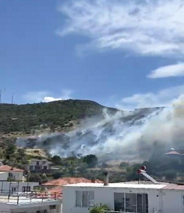 Çanakkalede makilikte yangın