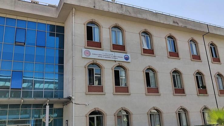 Yedikule Göğüs Hastalıkları Hastanesine Bıçak parası soruşturması: 11 gözaltı