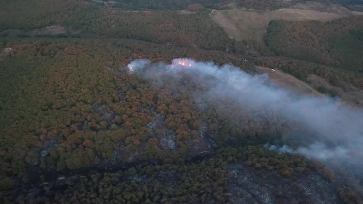 Kocaelide orman ve makilik alanlara giriş yasağı
