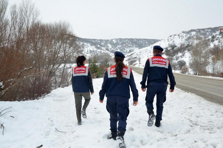 SOKAK HAYVANLARINI BESLİYORLAR