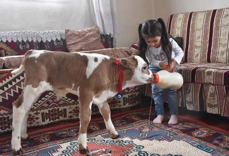 ÇOK ŞÜKÜR ÖLMEDİ