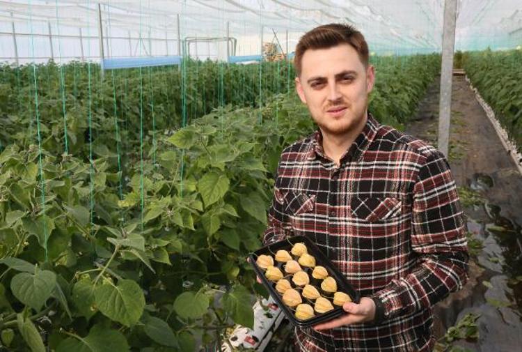 ZENGİN LİF ORANINA SAHİP