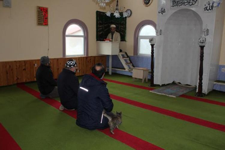 MERHAMETİ VE ŞEFKATİ AKTARMAYA ÇALIŞTIM