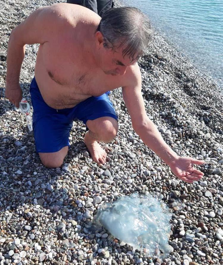 YENİ YENİ GELMEYE BAŞLADILAR