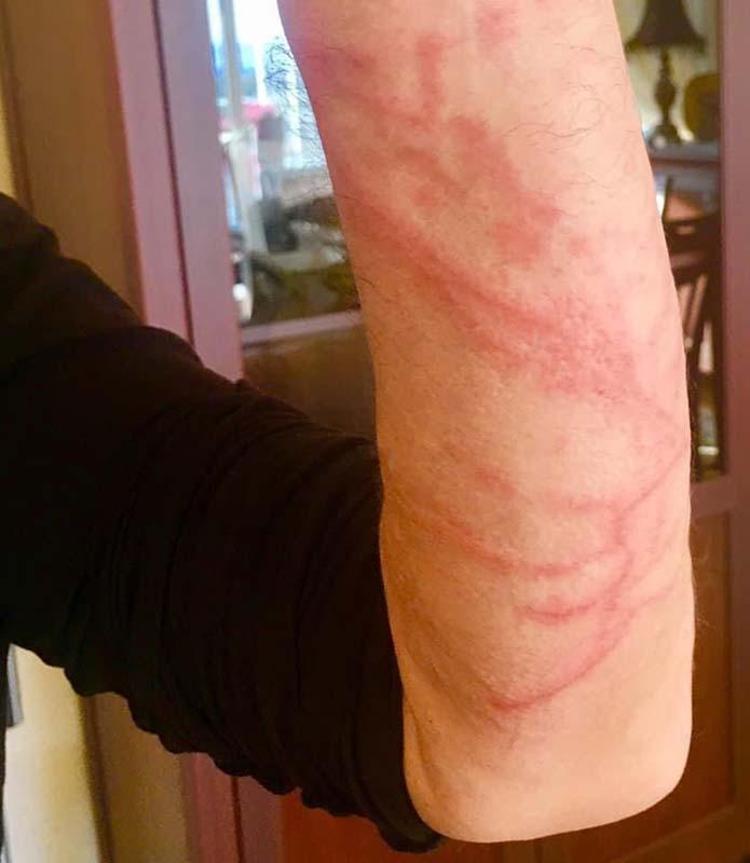 SAYILARI DAHA DA ARTACAK