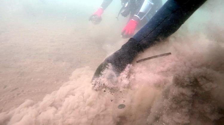 11 BİN NUMUNE ALINDI, 388 SAYFA RAPOR HAZIRLANDI