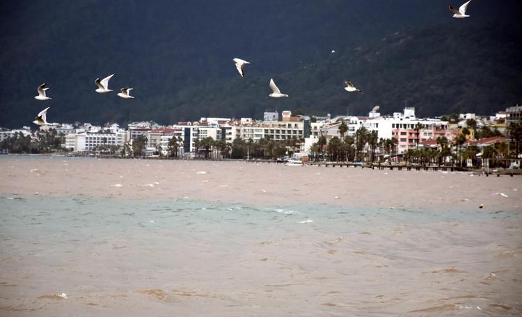 CUMHURBAŞKANI ERDOĞANA MEKTUP YAZDI